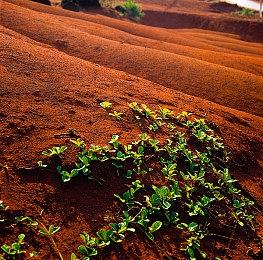 无人深空制作人调侃《GTA6》延期被嘲：你的新作呢？