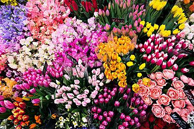 metacritic上半年游戏评分排名出炉 《33号远征队》排名第一